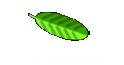 Czechoslovakia