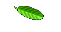 Holland