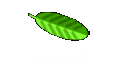 Iceland 2
