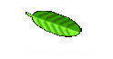 Short Breaks
