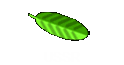 USSR