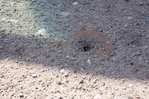 A hole in the gravel verge