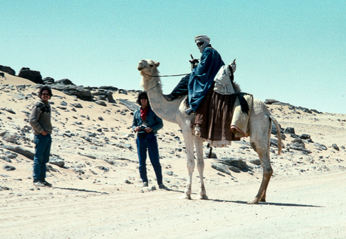 Camel transport in the Sahara