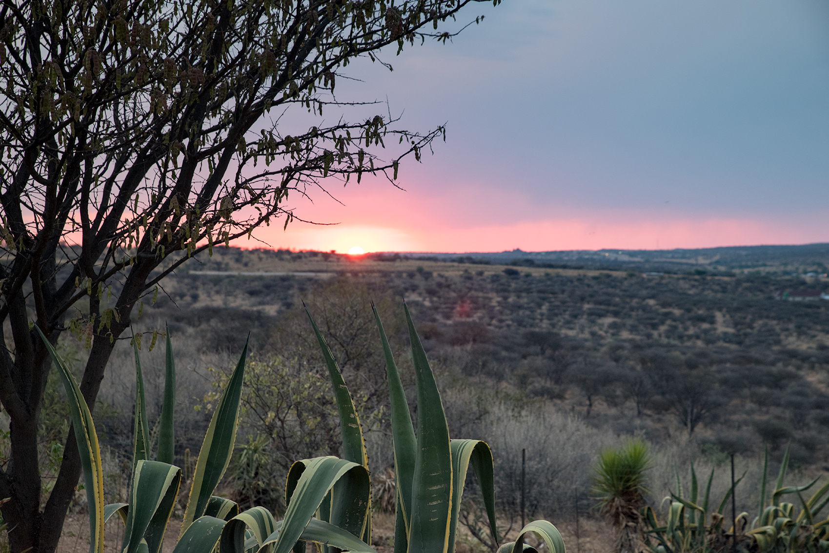 The view from the terrace of the Trans Kalahari Inn at sunset