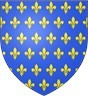 French COA pre 1376