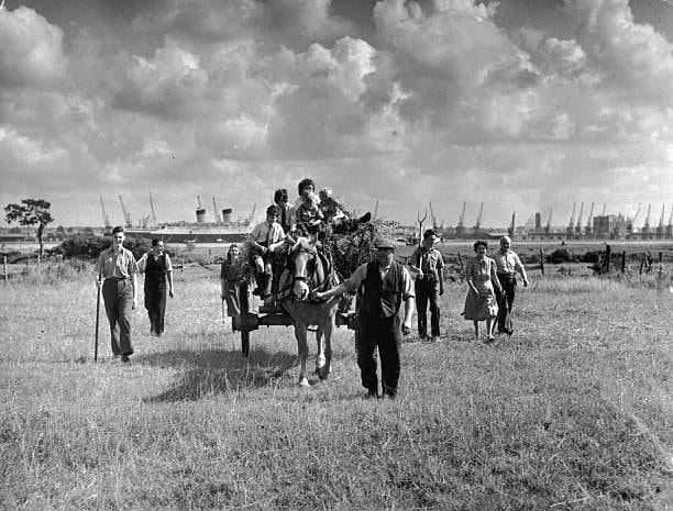 Marchwood Farmers BW