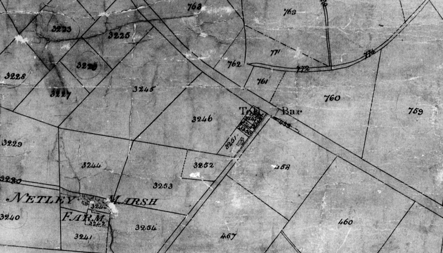 Netley Marsh Toll Bar Plot 459