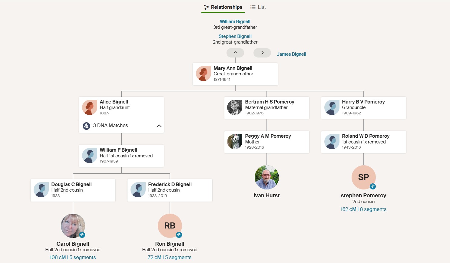 DNA path William Bignell B