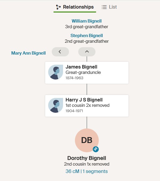 DNA path William Bignell C