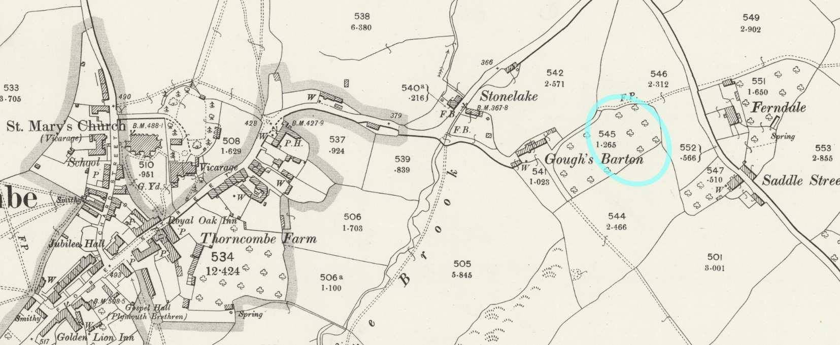 OS 25 Map Thorncombe plots John Biddlecombe