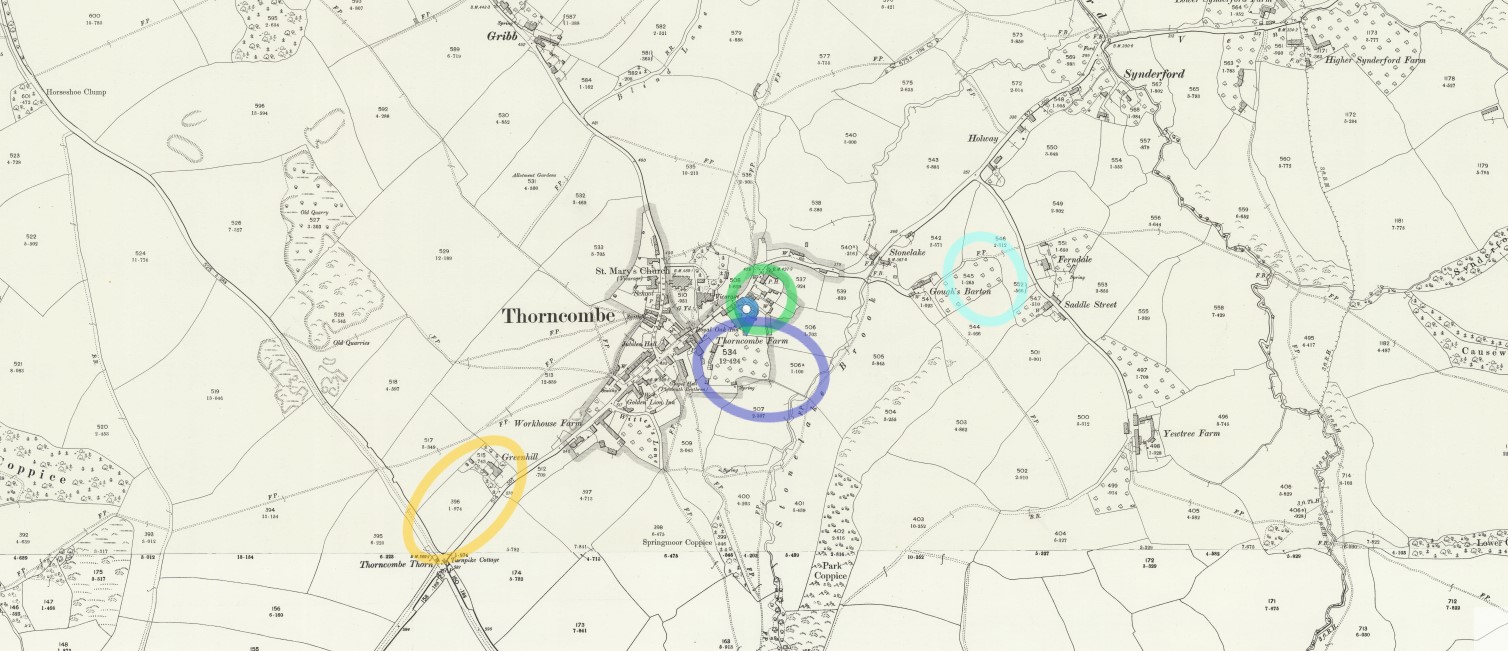 OS 25 Map Thorncombe village Biddlecombe plots