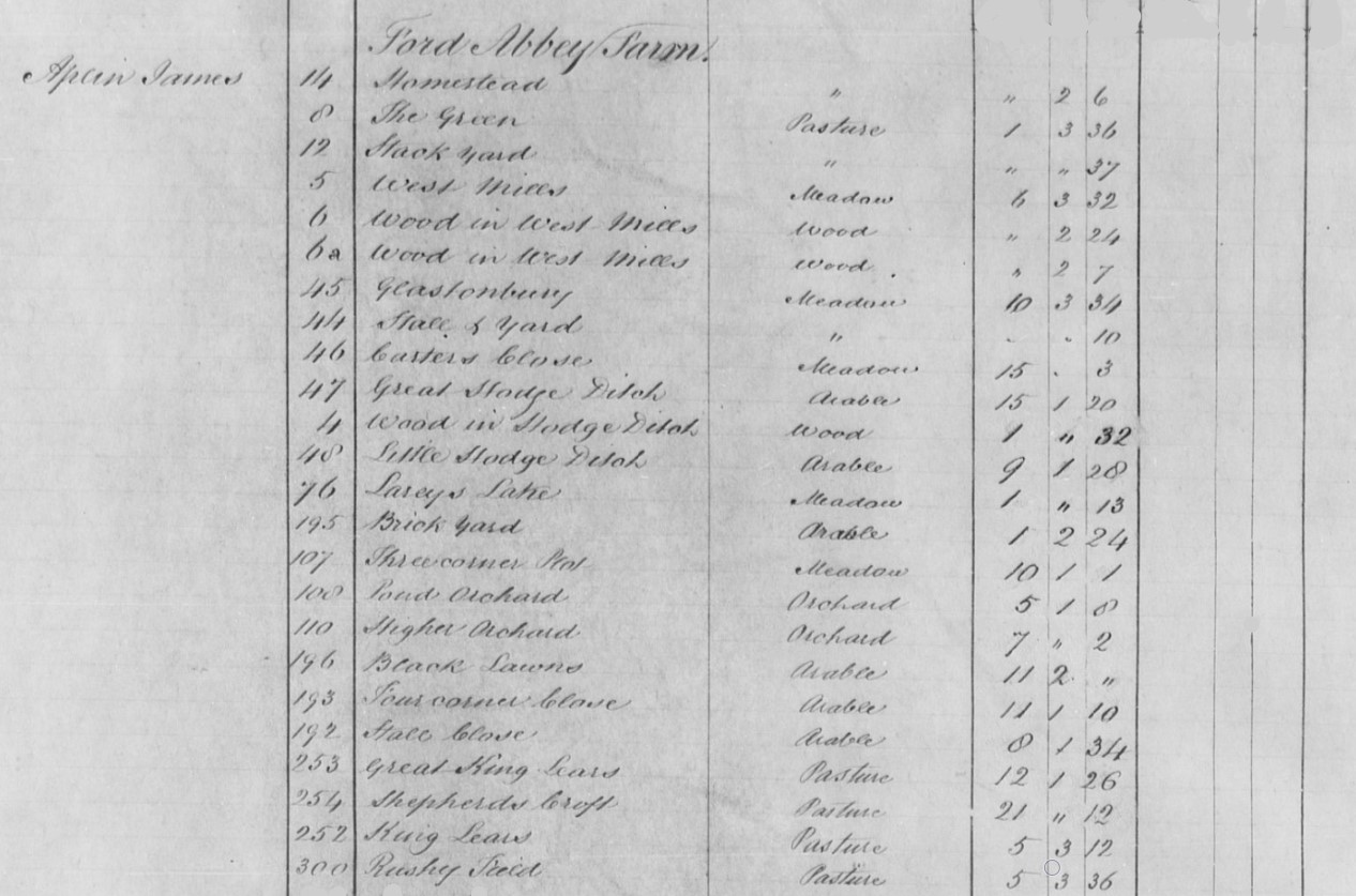 Tithe Apportionment Thorncombe OC James Aplin Forde Abbey Farm plots 1