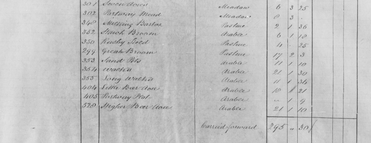 Tithe Apportionment Thorncombe OC James Aplin Forde Abbey Farm plots 2