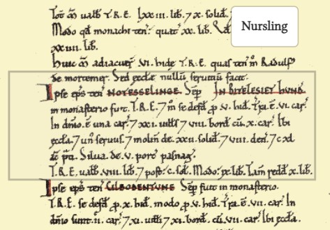 Domesday Book Nursling