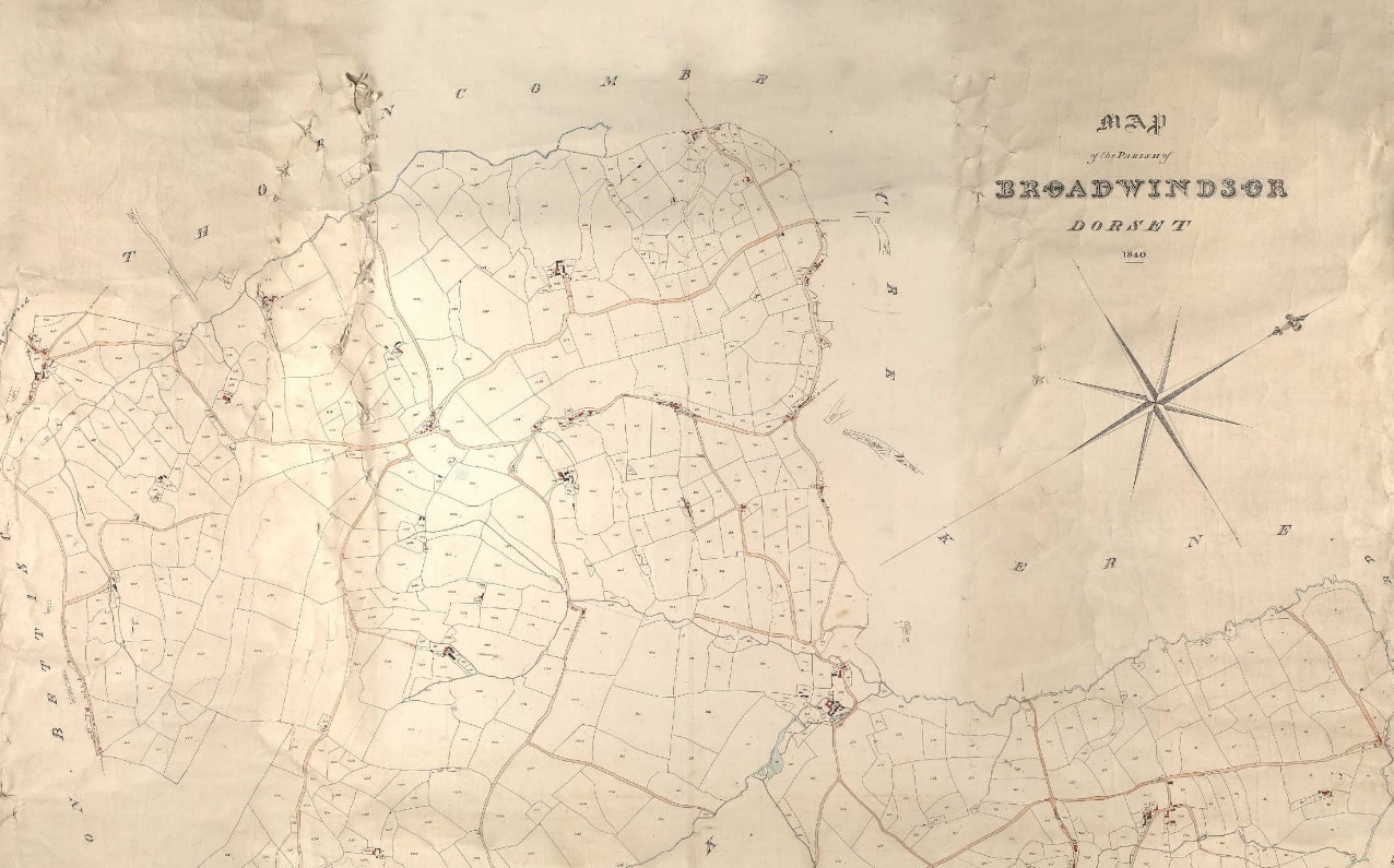 Tithe Map Broadwindsor Compass Rose