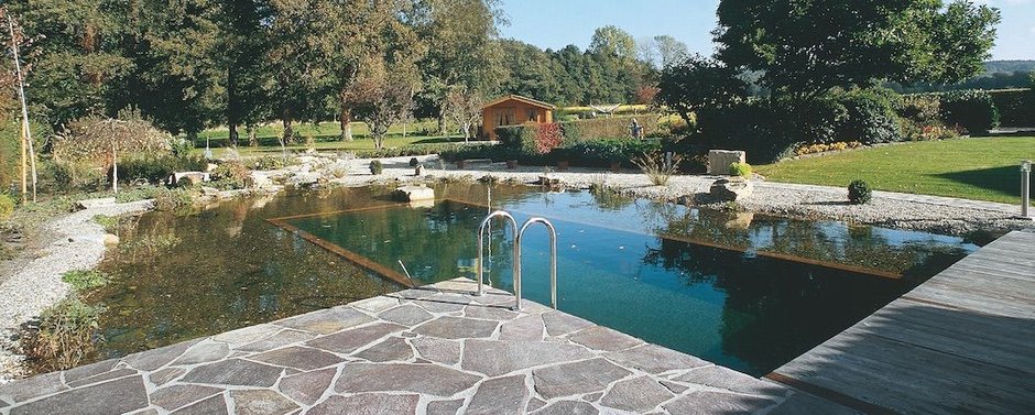 f9a93f36 natural swimpond 10q40hb0q40ah00005a000