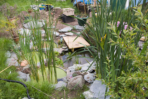 Fig 21 Landscaping and additional 1155