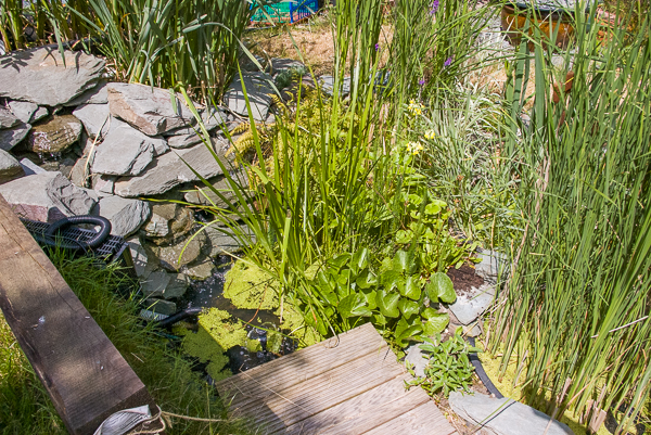 Figure 24A The waterfall One year on. 1411