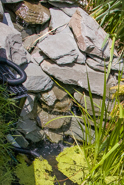 Fig 24B The waterfall One year on. 1411