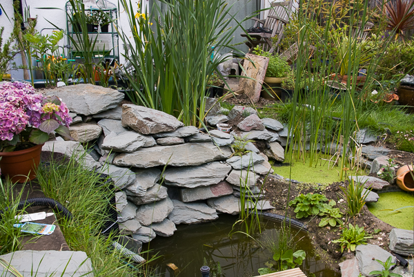 Fig 24 The waterfall 1158