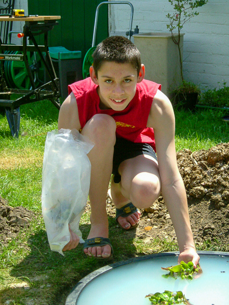 Fig 3A David putting in the first plants