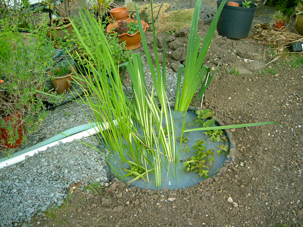 Fig 4 Phase 1 Planted landscaped and operational